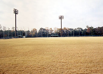 すこやかの杜（もり）運動公園　運動場