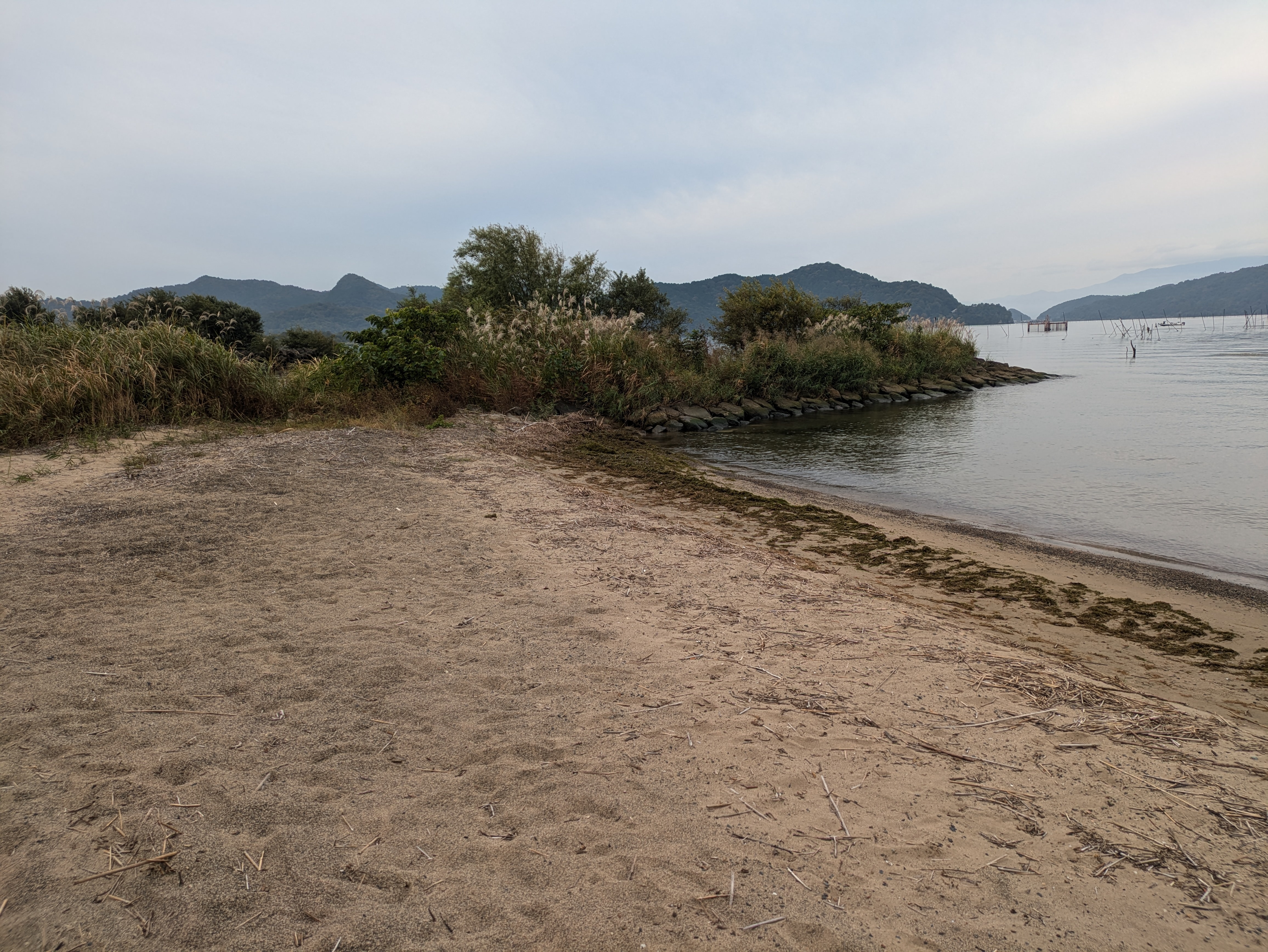  清掃前の琵琶湖岸（栗見出在家町地先)写真